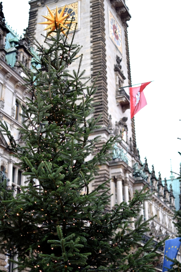 Tannenbaum, Weihnachtsbeleuchtung