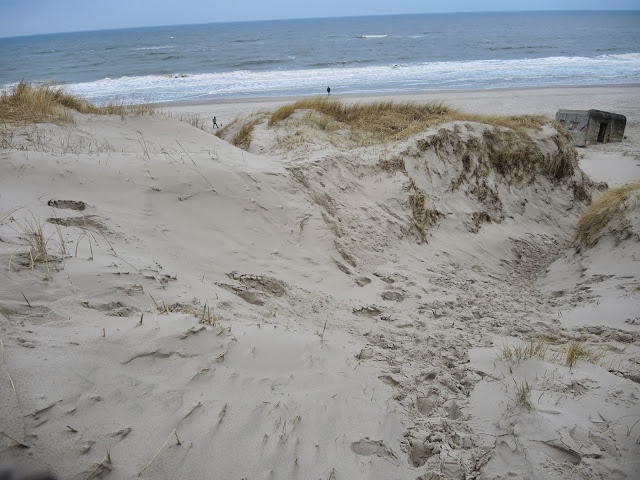 Stranddüne an der Nordsee